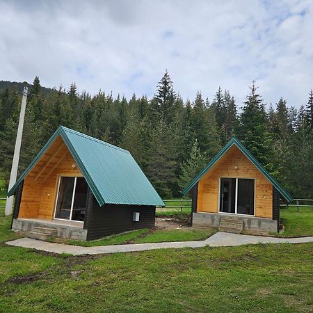 Apartmani Jezero Zabljak  Phòng bức ảnh